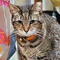 Thumbnail photo of Sissie #3