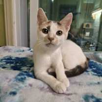 Thumbnail photo of Casey AND Willow #2