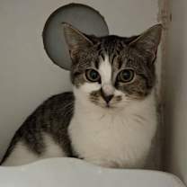 Thumbnail photo of Frida #1