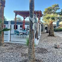 Thumbnail photo of Blu #3