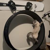 Thumbnail photo of Blu #4