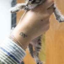 Thumbnail photo of Bloom #2