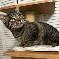 Thumbnail photo of Bobbi #2