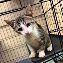 Thumbnail photo of Xan #1