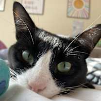 Thumbnail photo of Dave #1