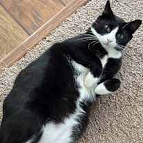 Thumbnail photo of Dave #2