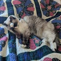 Thumbnail photo of Eris #2