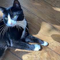 Thumbnail photo of Dave #3