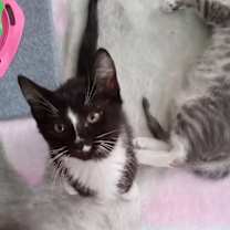 Thumbnail photo of Nathan #1