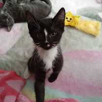 Thumbnail photo of Nathan #2