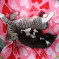 Thumbnail photo of Nathan #3