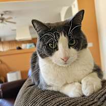 Thumbnail photo of Princess #3