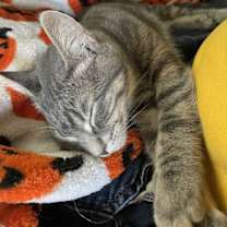 Thumbnail photo of Lightness #2