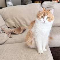 Thumbnail photo of Squish #1