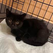 Thumbnail photo of Utah #1