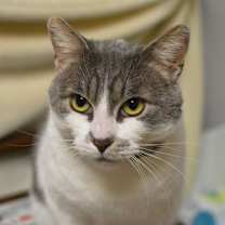 Thumbnail photo of Warlock #1