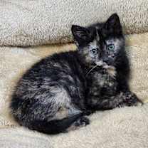 Thumbnail photo of Cindy Lou #3