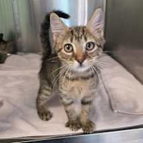 Thumbnail photo of Larry #1