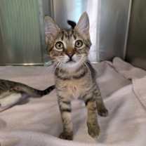 Thumbnail photo of Larry #3