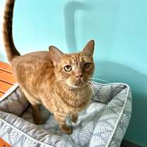 Thumbnail photo of Eno #3