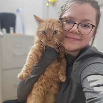 Thumbnail photo of Ravioli #4