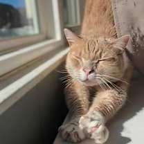 Thumbnail photo of Patrick #2