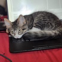 Thumbnail photo of Meena #1