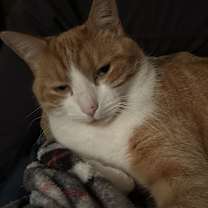 Thumbnail photo of Mable #1