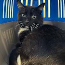 Thumbnail photo of I'm Loveeee Struck Baby #2