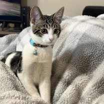 Thumbnail photo of Nini #1