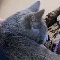 Thumbnail photo of Mosey #4