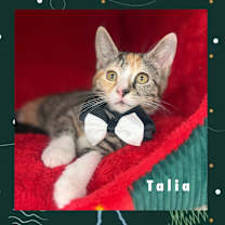Thumbnail photo of Talia #1