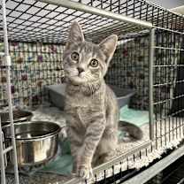 Thumbnail photo of Eleven  #2