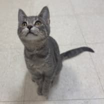 Thumbnail photo of Eleven  #3