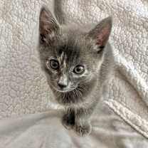 Thumbnail photo of Sally #1