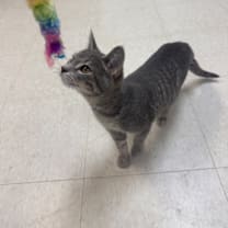 Thumbnail photo of Eleven  #4