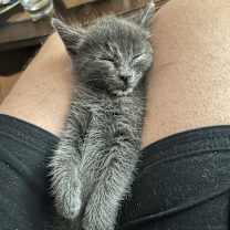 Thumbnail photo of Sally #3