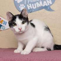 Thumbnail photo of Dotty #1