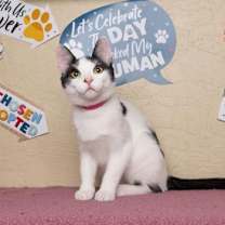 Thumbnail photo of Dotty #2