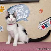 Thumbnail photo of Dotty #3