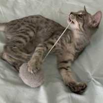 Thumbnail photo of Jeff #4