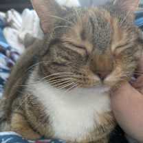 Thumbnail photo of Ellie #3