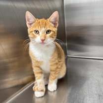 Thumbnail photo of Tom #1