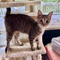 Thumbnail photo of Chelsea #1