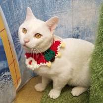 Thumbnail photo of Hero #1