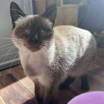 Thumbnail photo of Berry #1