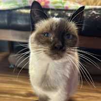 Thumbnail photo of Berry #3