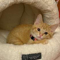 Thumbnail photo of Jelly #2