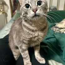 Thumbnail photo of Mother Theresa #2