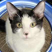 Thumbnail photo of Lana #4